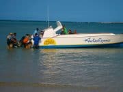 Voyager à Madagascar